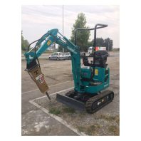 swe08b (15)